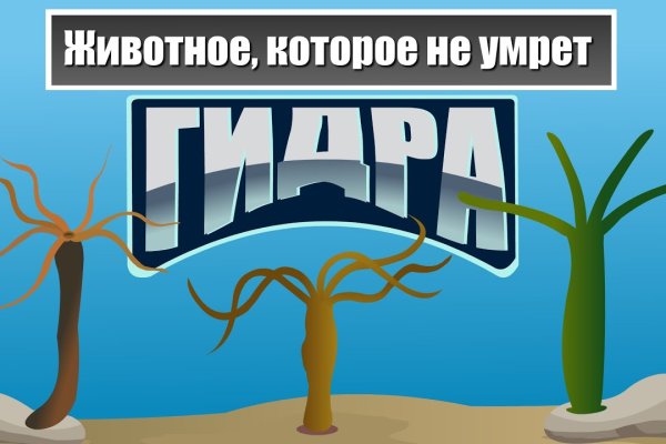 Купить гашиш цена